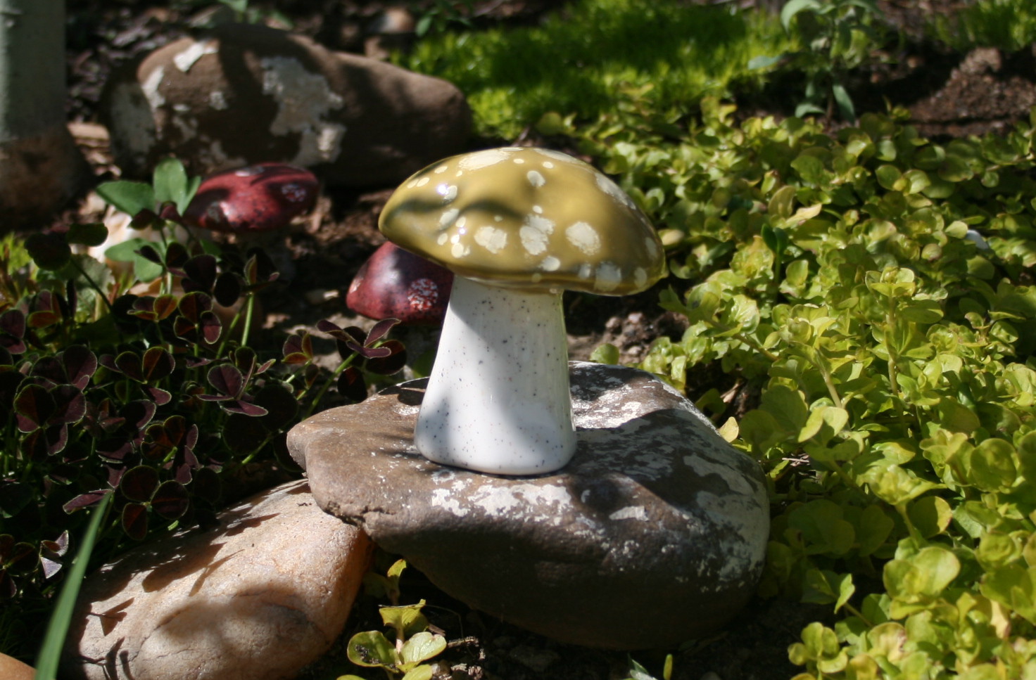 Toadstool